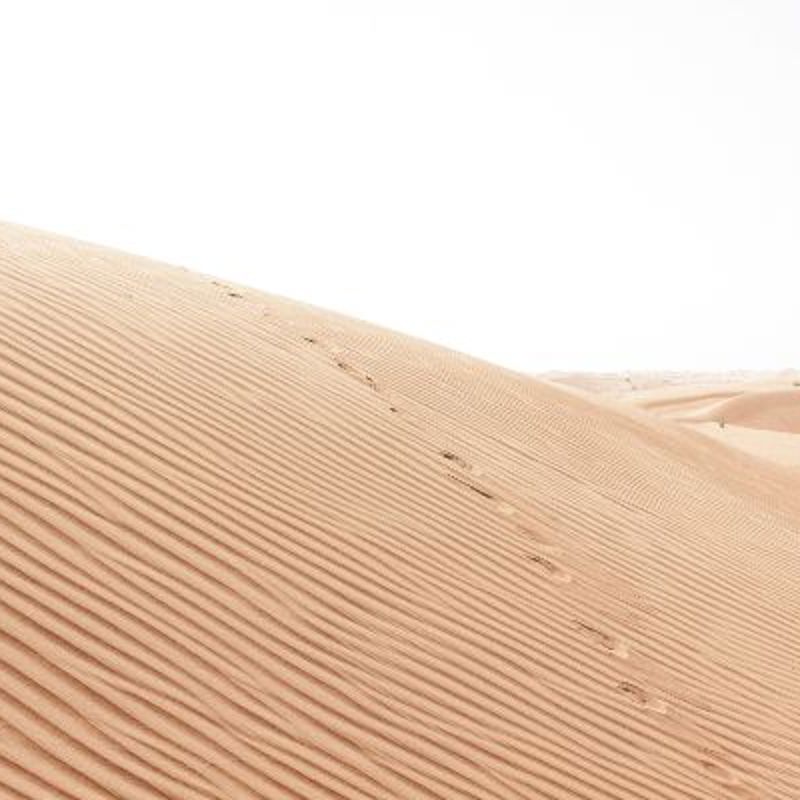 Ørkensand ved Hatta i nærheden af Dubai