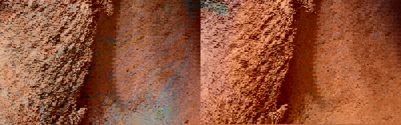 morgan-newnham-GYkDgtov3PE-unsplash