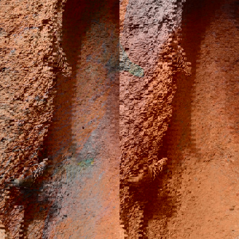 morgan-newnham-GYkDgtov3PE-unsplash