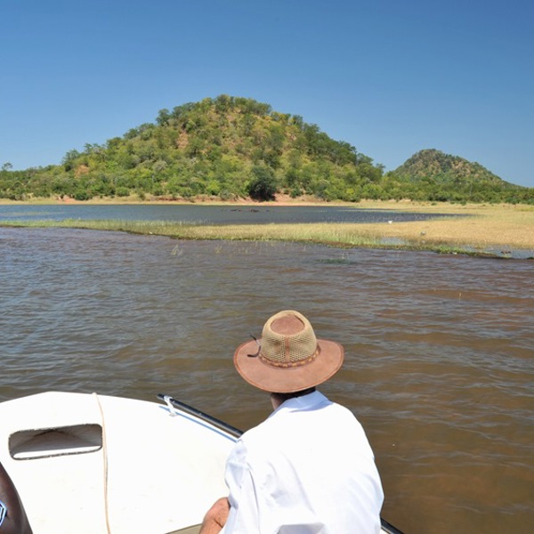 Elefanter i søen ved Bumi Hills, Matusadona nationalpark