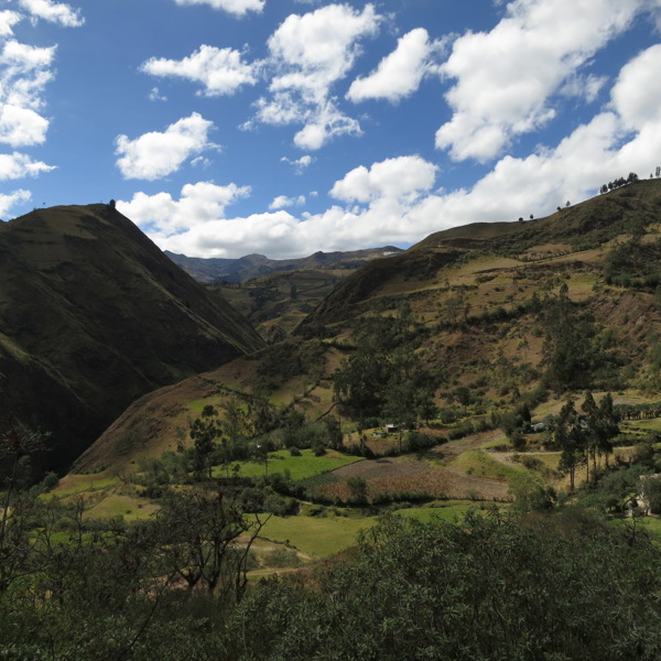 Trekking Isinlivi - Ecuador