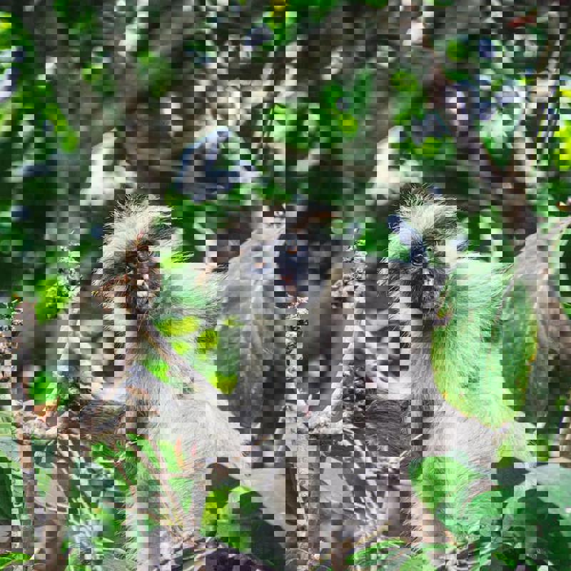 pexels-photo-9185414