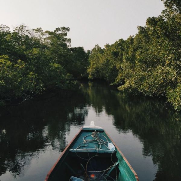 Senegal - Sine Saloum