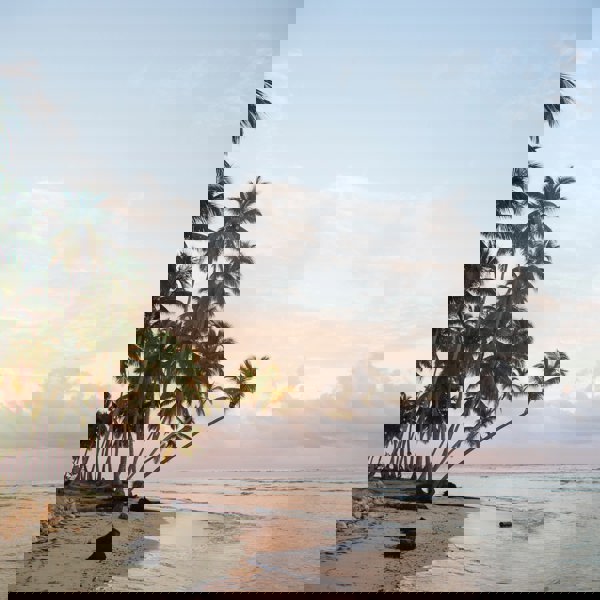 Smuk aftenhimmel langs kysten i Den Dominikanske Republik