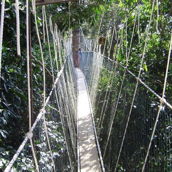 Taman Negara, Malaysia