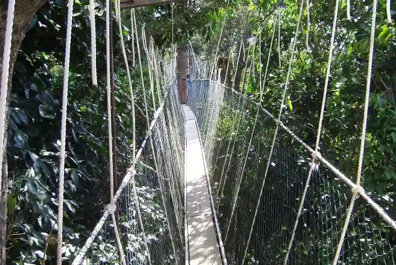 Taman Negara, Malaysia