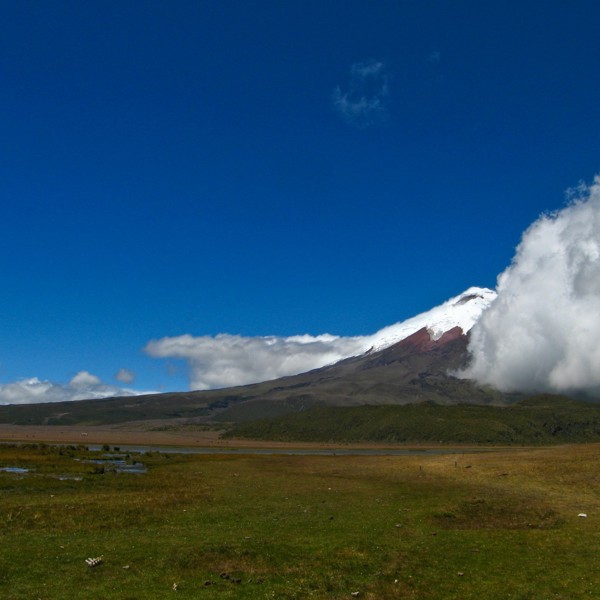 cotopaxi