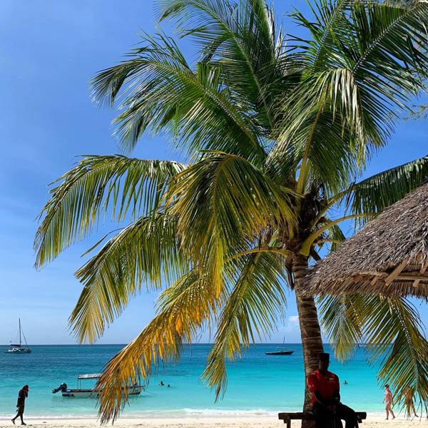 Palmestrand på Zanzibar