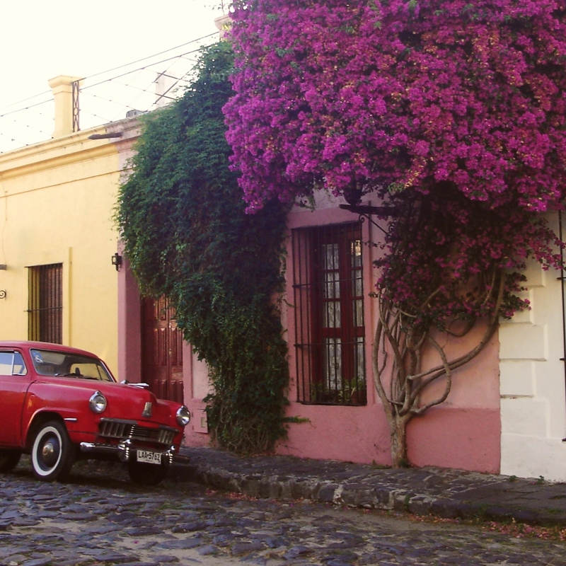 Rejser til Uruguay