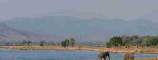 Elefanter ved sø, Mana Pools