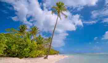 Saint Annes smukke strand på Guadeloupe
